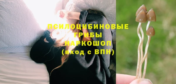 СК Алексеевка