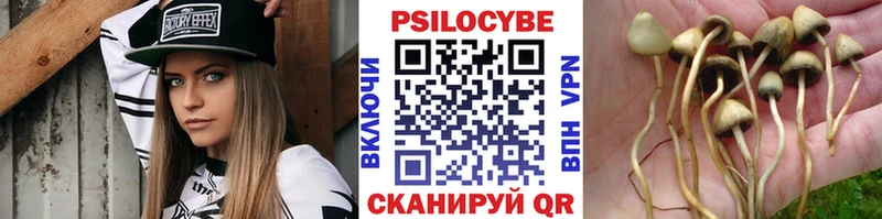 Галлюциногенные грибы прущие грибы  где продают   Кондопога 